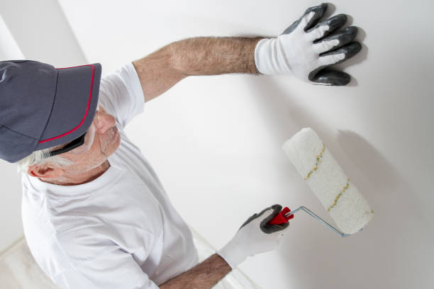 Best Residential Mold Inspection & Testing  in Canton, MS
