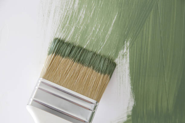 Best Mold Damage Restoration  in Canton, MS
