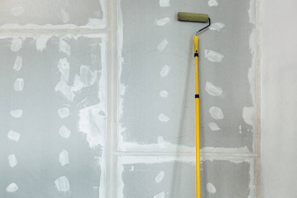 Best Post-Construction Mold Inspection  in Canton, MS