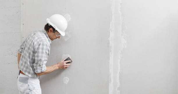 Best Asbestos and Lead Testing During Mold Inspection  in Canton, MS