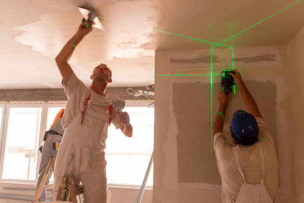 Best Mold Odor Removal Services  in Canton, MS
