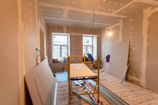  Canton, MS Mold Removal Pros